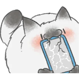 😤 kat, telefoon kapot, verdrietig, boos, dier whatsapp sticker