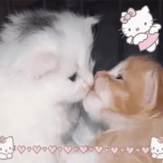 😭 Hello Kitty gatti, gattini, carino, baci, cuori, Hello Kitty telegram sticker