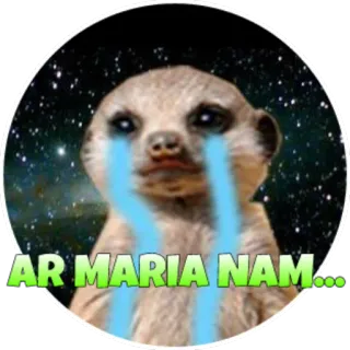 😢 AR MARIA NAM... suricate, chorando, triste, animal telegram sticker