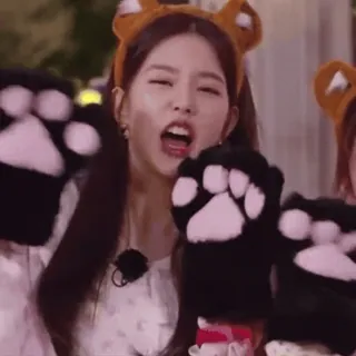 🐯 phụ nữ, kpop, thần tượng, gấu, găng tay, châu á, dễ thương, băng đô telegram sticker