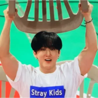 😋 Stray Kids K-pop, Musique, Stray Kids, Idole, Sticker Fan telegram sticker