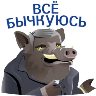 🤝 Всё быкуюсь boar, animal, suit, text, russian telegram sticker