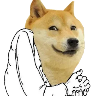 😼 doge, dog, meme, smug, shiba inu telegram sticker