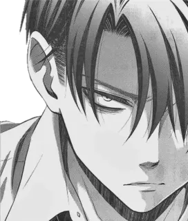 😠 Levi Ackerman Attack on Titan levi, attack on titan, anime, manga, captain levi, ackerman telegram sticker