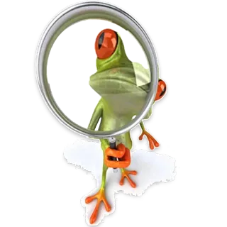 🔍 żaba, lupa, żaba czerwonooka, płaz, zwierzę telegram sticker