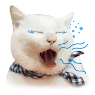 😴 telegram sticker
