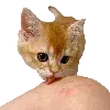 🥺