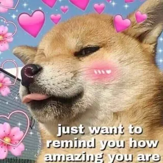 Kawaii_Kawaii @IMG2D whatsapp stickers