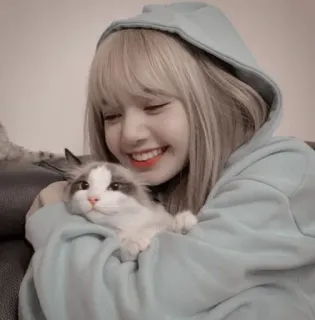 💕 Lisa kpop, 리사, 블랙핑크, 아이돌, 고양이, 애완동물, 여자, 연예인 telegram sticker