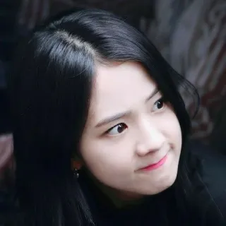 🛎 Jisoo kpop, певица, женщина, знаменитость, портрет, лицо, айдол whatsapp sticker