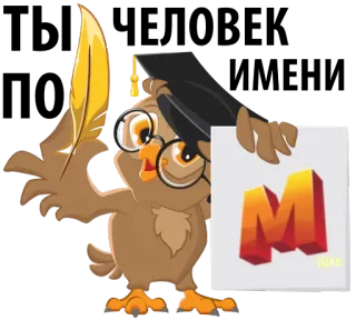 😵 coruja, formatura, educação, pássaro, acadêmico whatsapp sticker