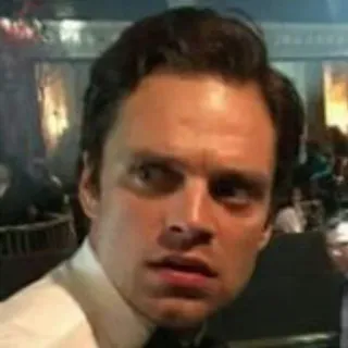 🤨 Sebastian Stan actor, famoso, retrato, hombre telegram sticker