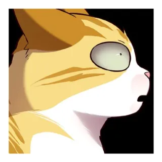 😳 Katze, geschockt, überrascht, Cartoon, Tier, Haustier, orange Katze telegram sticker