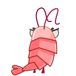 🙅‍♂️ 虾, 卡通, 生气, 粉色, 动物 telegram sticker