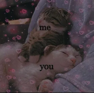 💓 me
you gatti, gattini, amore, relazione, carino, animali, animali domestici telegram sticker