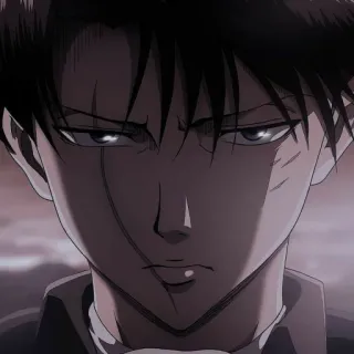📎 Levi Ackerman Attack on Titan anime, manga, attack on titan, levi, levi ackerman, soldier telegram sticker