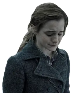 😔 Hermione Granger Harry Potter 悲しい, 泣く, 感情, ハリーポッター, ハーマイオニーグレンジャー telegram sticker