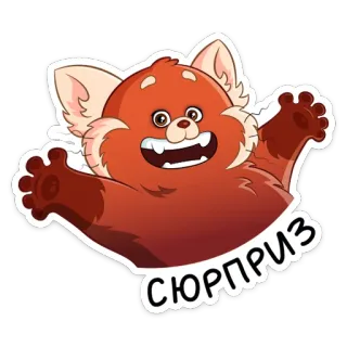 🎁 СЮРПРИЗ красная панда, сюрприз, мультфильм, животное, милый, смешной whatsapp sticker