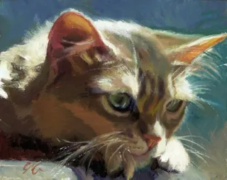 😕 cat, animal, domestic cat, pet, feline, painting telegram sticker