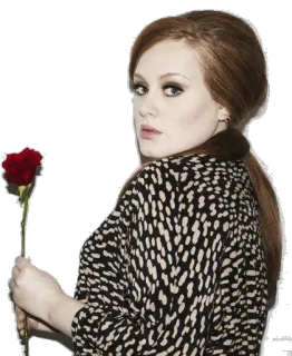 🙆 Adele Adele, cantante, rosa, retrato, mujer, música telegram sticker