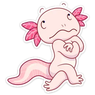 🥴 Axolotl, Aufkleber, Cartoon, Süß, Tier telegram sticker
