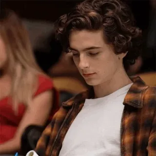 📯 Timothée Chalamet acteur, homme, portrait, assis, sérieux, personne telegram sticker