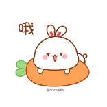 🤪 coelho, cenoura, animal, fofo telegram sticker