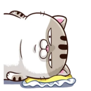 🤔 cat, animal, sticker, cute, lazy telegram sticker