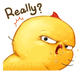🐤 Really? frango, mesmo, fofo, bravo, pergunta, desenho animado whatsapp sticker