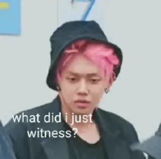 🌸 what did i just witness? 반응, 밈, 충격, 혼란, 분홍머리, 목격 telegram sticker