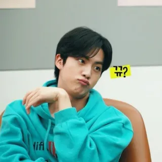 🐹 뀨? kpop, sänger, niedlich, lustig, porträt telegram sticker