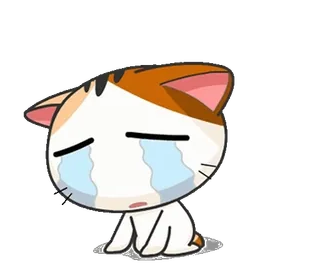 ⭐ gato, triste, chorando, animal, emoji, adesivo whatsapp sticker