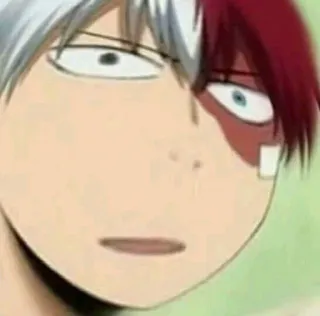 🗿 Shoto Todoroki My Hero Academia Anime, My Hero Academia, Shoto Todoroki, Śmieszne, Meme, Postać telegram sticker