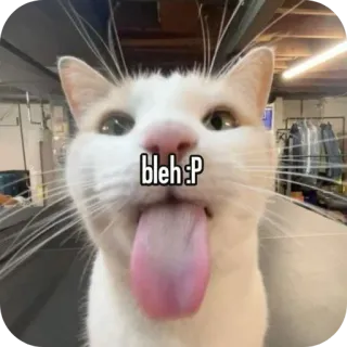 🐱 bleh :P cat, meme, bleh, tongue, funny, cute, animal, pet telegram sticker