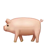 🐖
