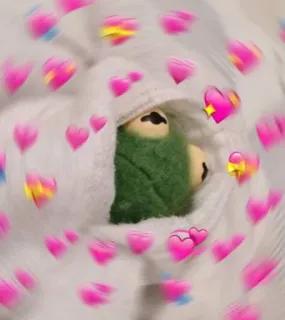 💖 Kermit the Frog kermit, rana, amore, carino, cuori telegram sticker