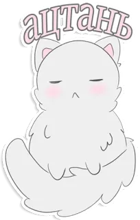 😠 ацтань kot, słodki, anime, naklejka, puszysty, kreskówka, zwierzę telegram sticker