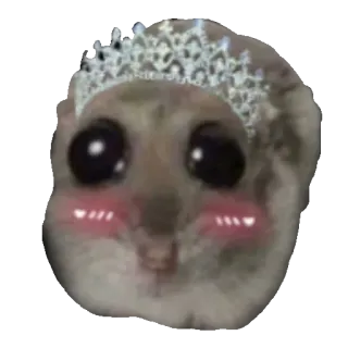 👸 햄스터, 티아라, 귀여운, 동물, 카와이, 애완동물, 볼터치 whatsapp sticker