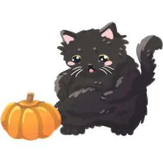 🎃 gatto, gattino, halloween, zucca, gatto nero, carino, adesivo telegram sticker