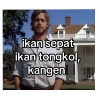 💪 Noah Calhoun The Notebook ikan sepat ikan tongkol, kangen ryan gosling, the notebook, kangen, meme, movie, romance, pantun, indonesian telegram sticker