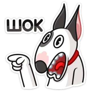 😳 ШОК собака, бультерьер, шок, удивление, указывает whatsapp sticker