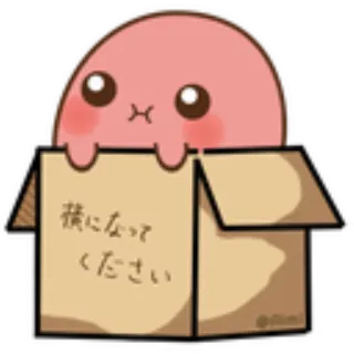 😉 横になってください каваи, милый, коробка, животное, розовый telegram sticker