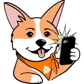 🤳 cane, animale, animale domestico, selfie, carino, corgi telegram sticker
