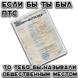 🥴 ЕСЛИ БЫ ТЫ БЫЛ ПТС, ТО ТЕБЯ БЫ НАЗЫВАЛИ ОБЩЕСТВЕННЫМ МЕСТОМ documento, coche, vehículo, ruso, broma whatsapp sticker