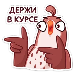 😉 ДЕРЖИ В КУРСЕ bird, cartoon, funny, pointing, animal, sticker telegram sticker