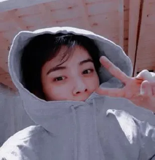 🦧 kpop, simbol perdamaian, selfie, orang, asia whatsapp sticker