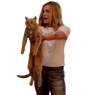 🐈 Carol Danvers Captain Marvel 惊奇队长, 猫, 卡罗尔·丹弗斯, 布丽·拉尔森, 漫威, 超级英雄 telegram sticker