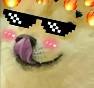 🥰 pies, mem, okulary przeciwsłoneczne, serca, ogień, cool, pikselowy telegram sticker