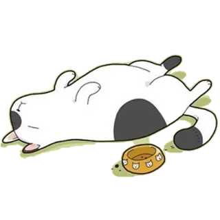 😴 gato, dormindo, preguiçoso, desenho animado, animal, animal de estimação, tigela, relaxado, fofo whatsapp sticker