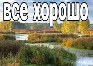 👍 ВСЕ ХОРОШО Natur, See, Landschaft, Bäume, Szenerie, Russisch, Text telegram sticker